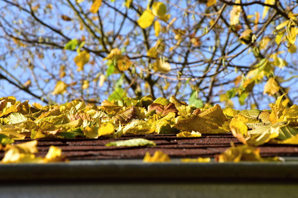 gutter cleaning